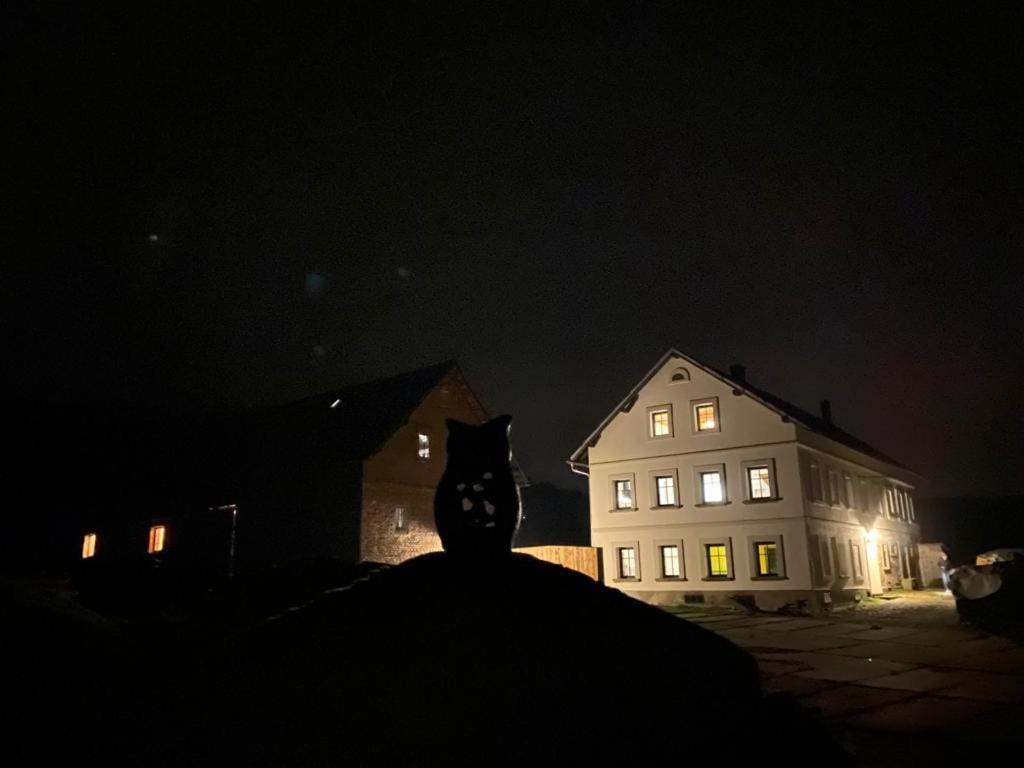 Statek 85 Lejlighed Marenice Eksteriør billede